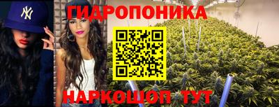 PSILOCYBIN Нальчик