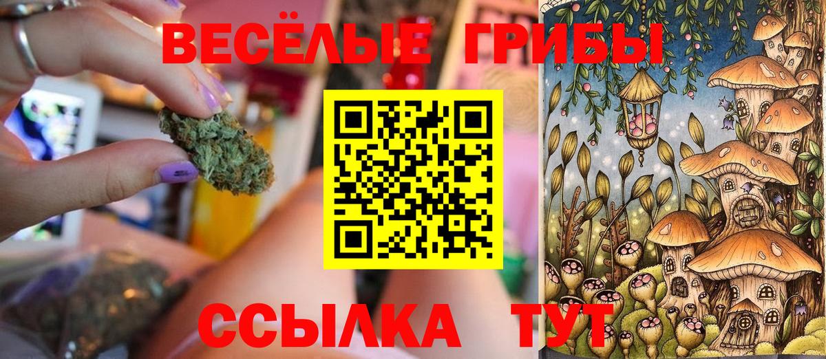купить   Вход с VPN  Улан-Удэ  Галлюциногенные грибы мухоморы 